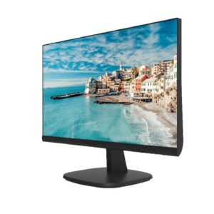 Monitor Hikvision DS-D5024FN/EU
