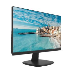 Monitor Hikvision DS-D5024FN/EU
