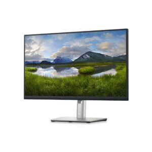 DELL P Series P2423D LED display 60,5 cm (23.8") 2560 x 1440 px Quad HD LCD Czarny