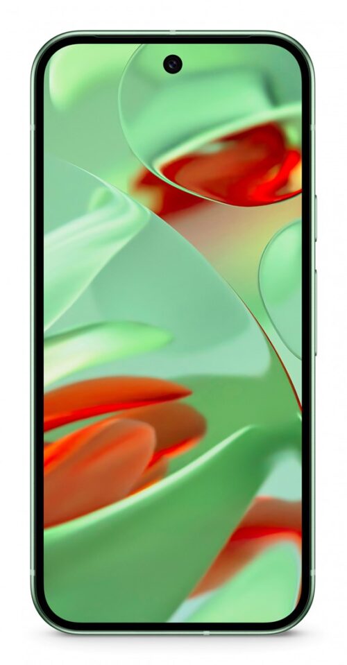 Google Pixel 9 5G Dual SIM | 12 GB RAM / 128 GB ROM | Winter Green
