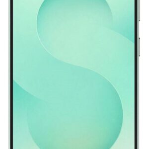 Samsung Galaxy S25 12/128GB Mint