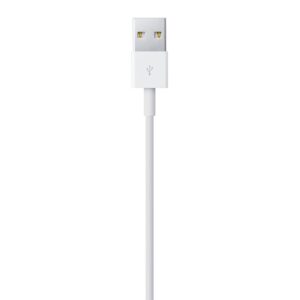 Apple Lightning to USB Cable (1m)