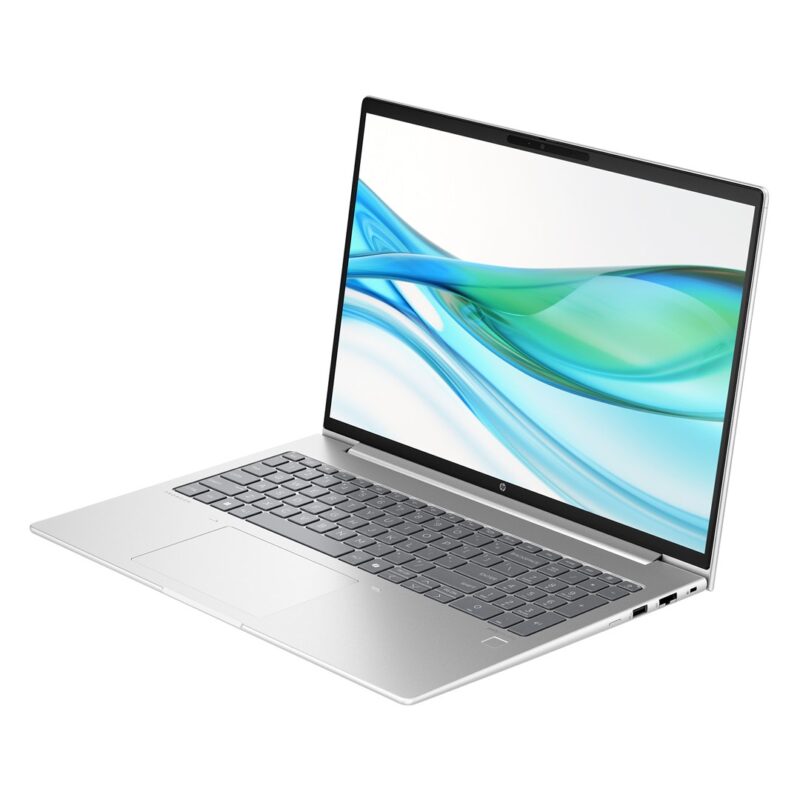HP ProBook 465 G11 Ryzen 5 7535U 16"WUXGA IPS 300nits AG 16GB DDR5 SSD1TB Radeon 660M 56Wh Win11 Pike Silver 2Y OnSite