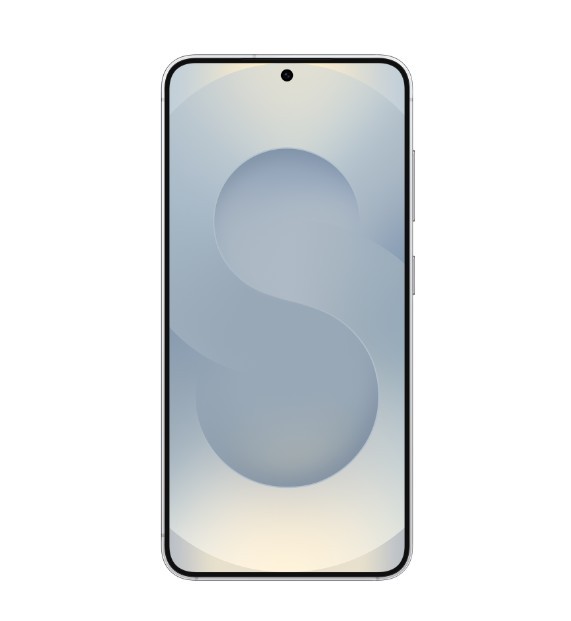 Smartfon GALAXY S25 5G 12/512GB DS Srebrny