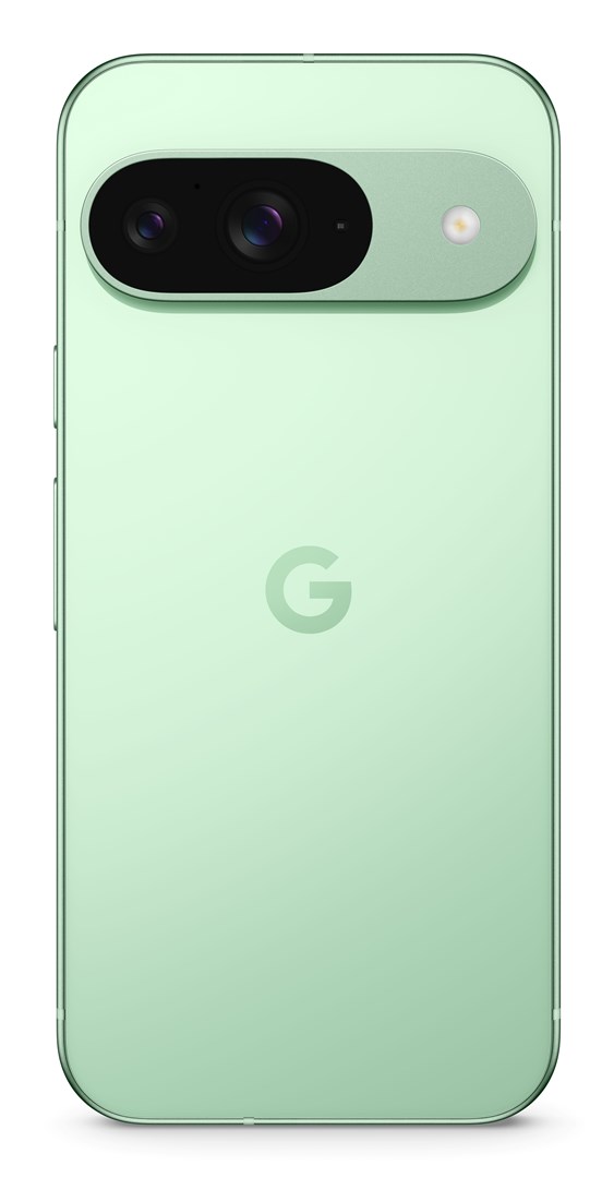 Google Pixel 9 | 256GB | 6.3″ OLED | Wintergreen