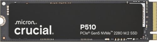 Dysk SSD P510 2TB M.2 NVMe Gen5 2280 10000/8700 MB/s