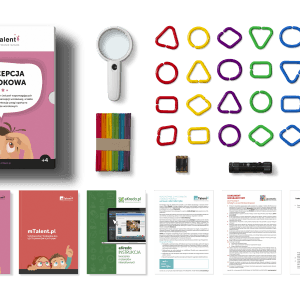 mtalent_zawartosci_ pudełek_Percepcja wzrokowa mTalent Percepcja wzrokowa