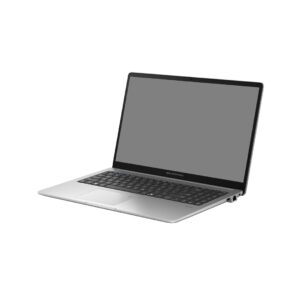 ASUS ExpertBook P1 P1503CVA-S71658X | 16GB | 512GB SSD