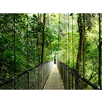 Komputer ProDesk 4 Tower G1i Desktop AI PC U5-225 512/16/W11P      9H7U6ET