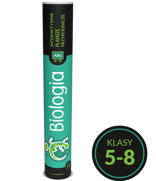 IPP - Plansze przyrodnicze - BIOLOGIA kl.5-8