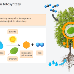 IPP - Plansze przyrodnicze - BIOLOGIA kl.5-8