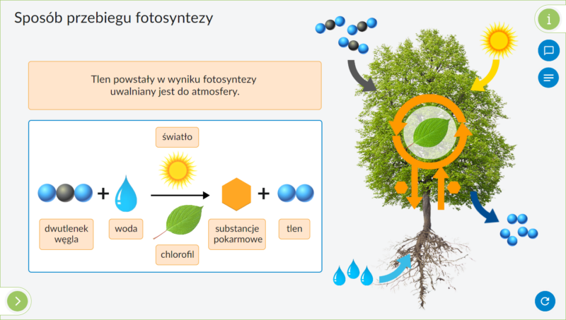 IPP - Plansze przyrodnicze - BIOLOGIA kl.5-8
