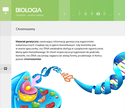 MPP - Chemia kl. 7-8