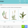 eduPaka Biologia kl. 4-8 — zdjęcie 4