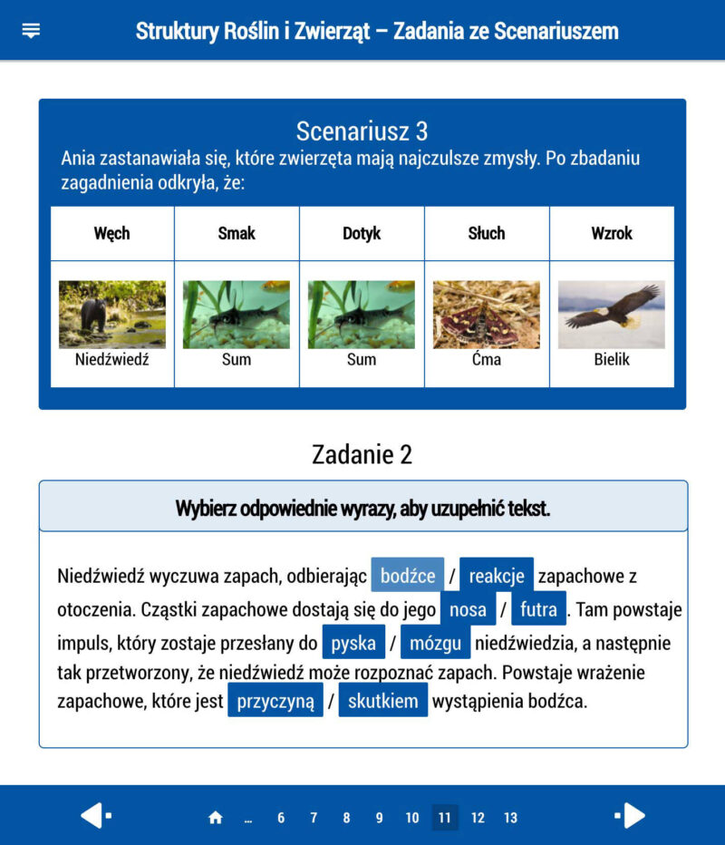 Struktury roślin i zwierząt - szkoła podstawowa - biologia LaboLAB