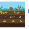 Zmieniająca się planeta ziemia - szkoła podstawowa - geografia LaboLAB — zdjęcie 4
