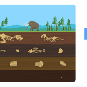 Zmieniająca się planeta ziemia - szkoła podstawowa - geografia LaboLAB